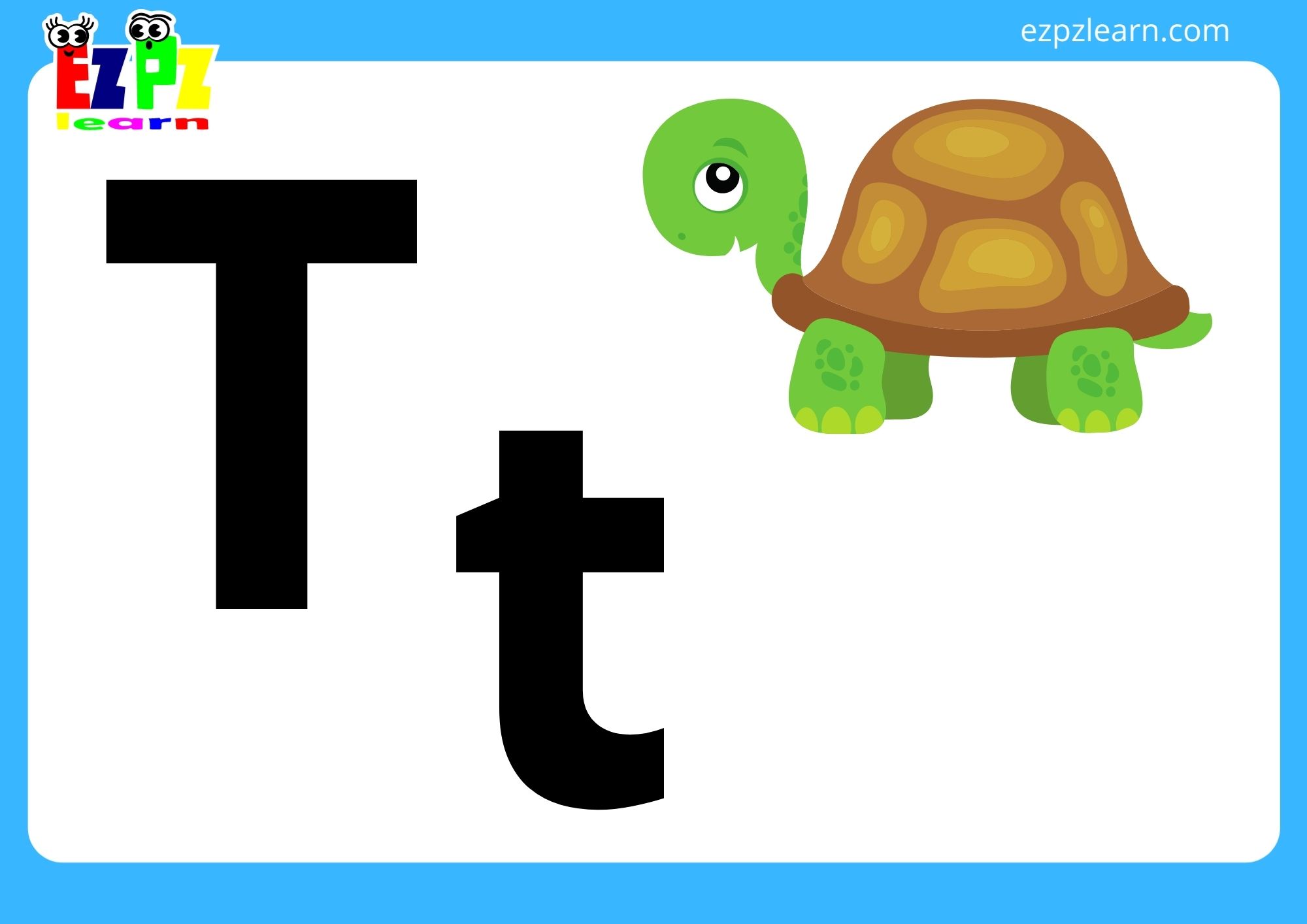 T turtle